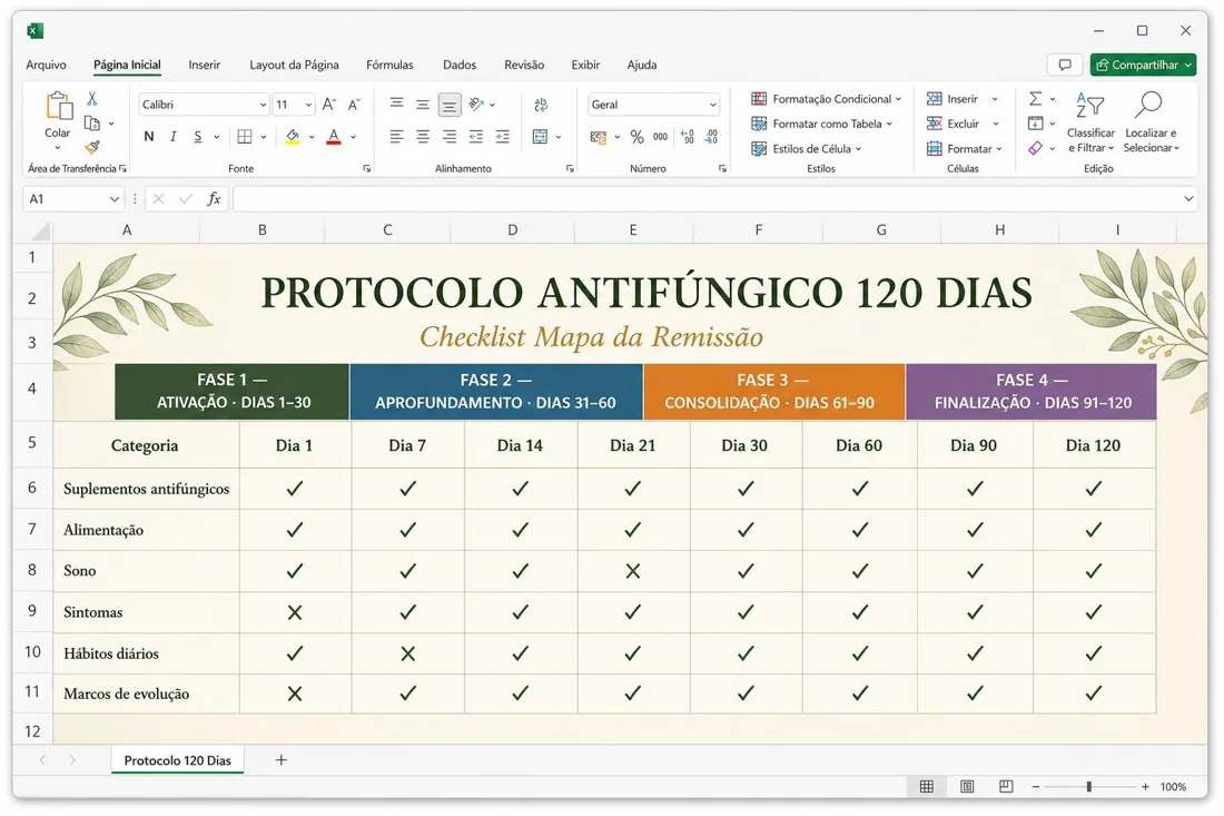Planilha Checklist Mapa da Remissão do protocolo de 120 dias